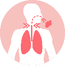 Thuốc Ho-Hen suyễn-Long đờm-Bổ phổi