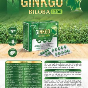 Ginkgo 1200-Ginko biloba hộp 10 vỉ x 10 viên