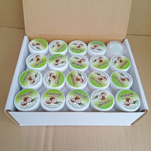 Nẻ vaseline coconut Dừa-Hộp 60 hũ