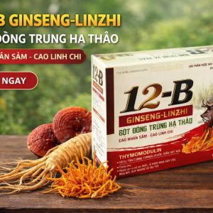12B Ginseng Linzhi New cao cấp-Hộp 10 vỉ x 10 viên Hộp to