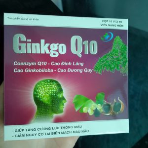 Ginkgo Q10 Hộp 100 viên- Ginkgo Biloba Hộp 10 vỉ x 10 viên với Đinh lăng, đương quy, ích mẫu