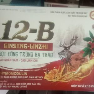 12B Ginseng Linzhi New cao cấp-Hộp 10 vỉ x 10 viên Hộp to