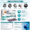 Bổ thần kinh Plus vỉ-Hộp 3 vỉ x 10 viên hỗ trợ bồi bổ thần kinh giảm mệt mỏi căng thẳng mất ngủ suy nhược thần kinh
