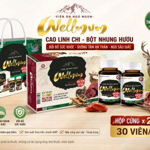 Viên ăn ngủ ngon Wellmum đông trùng hạ thảo-Hộp cứng x 2 lọ x 30 viên/Lọ